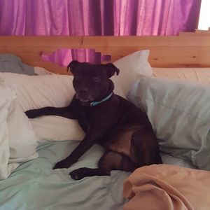 Meet your Posher, Virginia